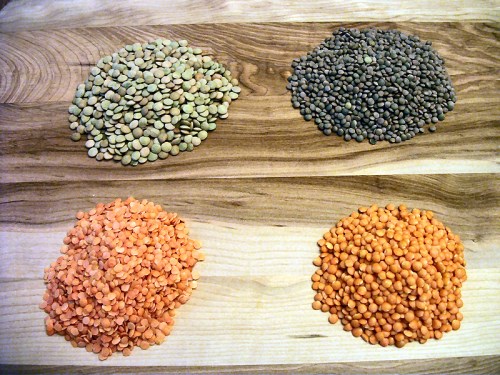 Lentil Varieties