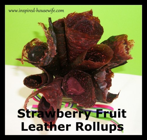 Strawberry Fruit Leather