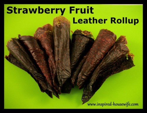 Strawberry Fruit Leather