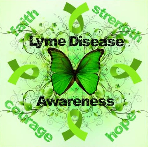 Lyme Disease Awareness