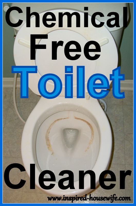 DIY Toilet Cleaner