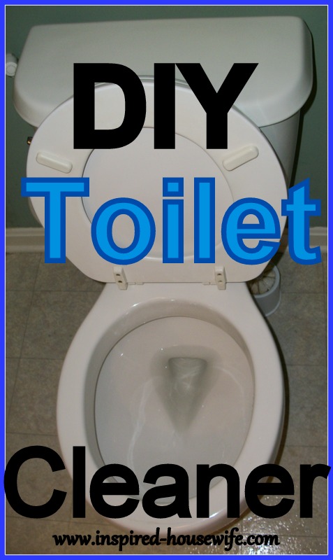 DIY Toilet Cleaner