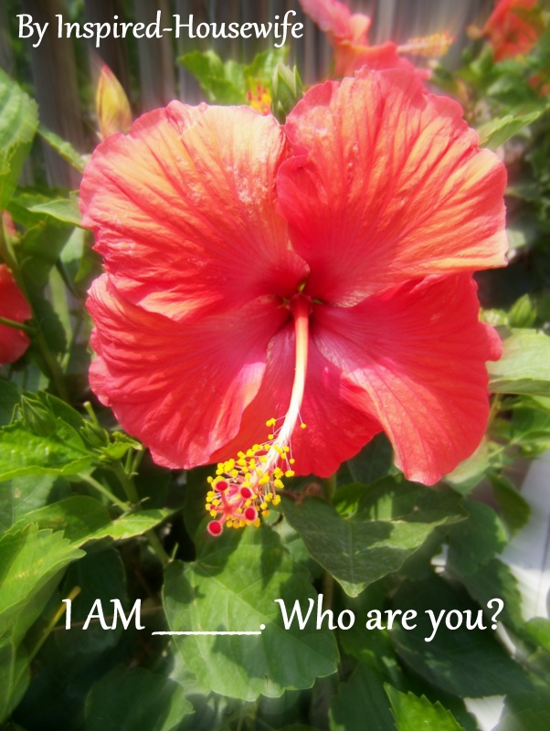 Inspired-Housewife: 5 Minute Challenge I AM _______ Do you know who you are?  Only 5 minutes to write unedited about yourself.  #IAM #Whoareyou?