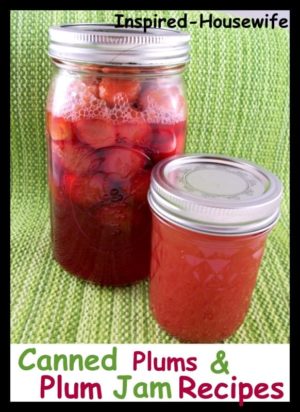 Inspired-Housewife: Low Sugar Plum Jam and Canned Plums Recipes