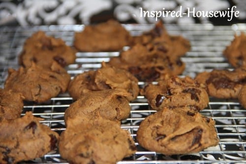 Grain-Free Chickpea Chocolate Chip Cookies