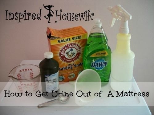 3 Simple Ingredients for How to Get Pee Stains Out of a Mattress