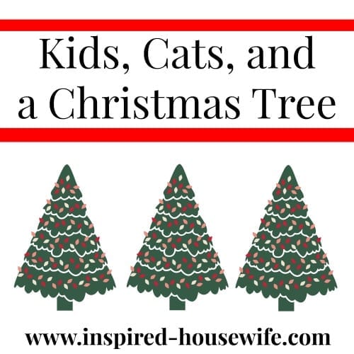 Kids, Cats, and a Christmas Tree