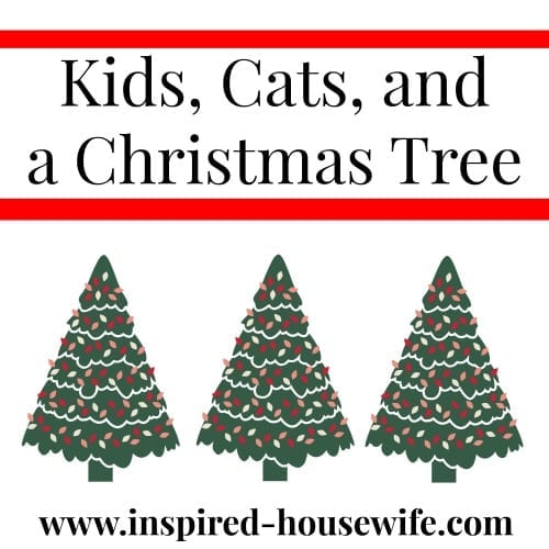 Kids, Cats, and a Christmas Tree