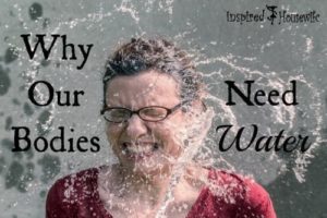 Why Our Bodies Need Water