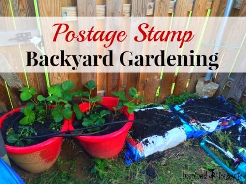 Postage Stamp Backyard Gardening