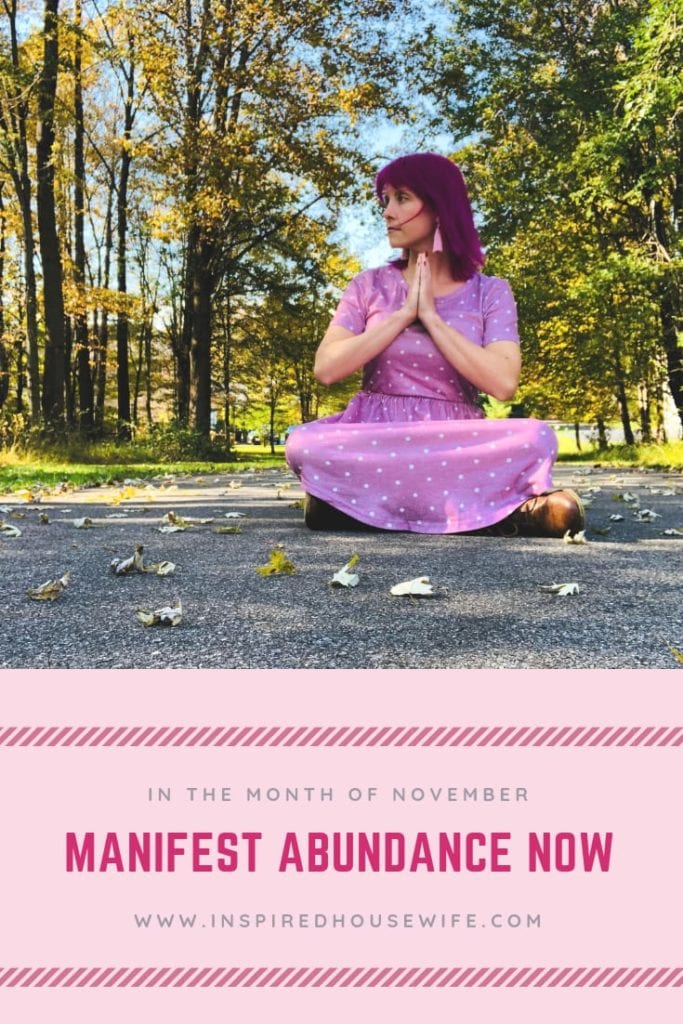 Manifest Abundance Now