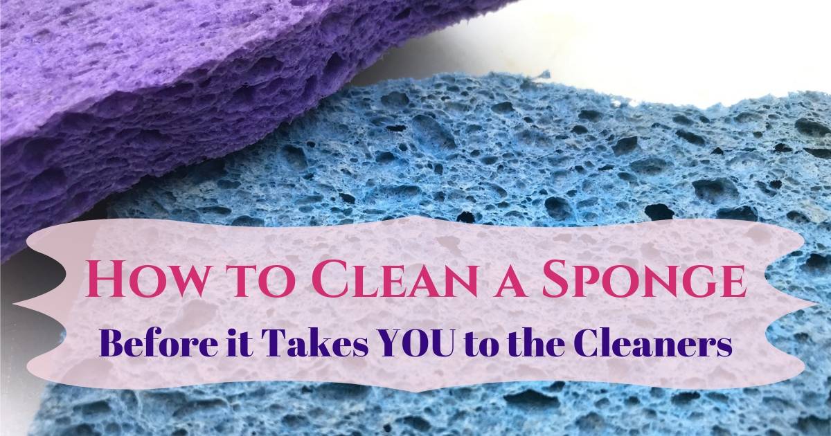 How to Clean a Sponge